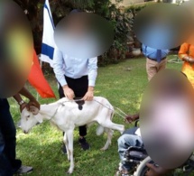 « Aucun musulman ne devrait accepter les moutons de l’ambassade d’Israël à Dakar »