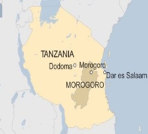 Tanzanie: Au moins 60 morts dans l'explosion d'un camion-citerne