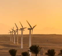 Egypte  : important investissement dans un projet de parc éolien de 250 MW