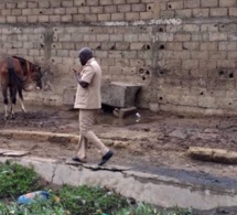 LE PRÉFET DE DAKAR À LA TROUSSE DES CHARRETIERS