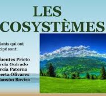 Atelier sur les écosystèmes des terres arides en Afrique