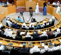 Débandade à l’Assemblée : 2 chats perturbent la séance