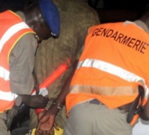 Arrondissement de Coki: La gendarmerie a arrêté le plus grand voleur de bétail