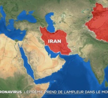 Egypte/Coronavirus: contrôles médicaux après le passage de touristes contaminés