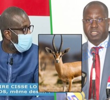 Affaire des Gazelles – Bouba Ndour hausse le ton : « Dagnou wara dakh le ministre Abdou Karim Sall… »