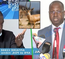 Pape Djibril Fall sur l’affaire des 6 gazelles oryx : « Détournement la…Té justice dafa wara… »