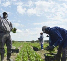 Le calvaire des sénégalais « esclaves » de leurs compatriotes en Italie.