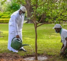 Avantages - Macky Sall peu tenté par ses privilèges présidentiels