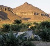 La Mauritanie consomme trois fois plus qu’elle ne produise en matière de ressources forestières