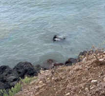 Son petit ami lui donne son véhicule: Elle termine sa course dans la mer et...