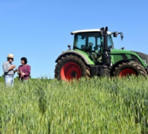 Horrible fin de deux femmes migrantes : endormies dans un champ, elles meurent écrasées par un tracteur