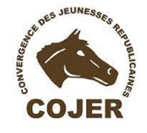 Révolte apériste aux Parcelles assainies: La Cojer récuse Moussa Sy