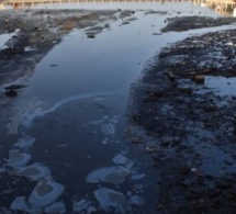 Cadre de vie : Le bassin de Dalifort, un nouveau danger pour des riverains