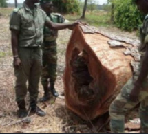 Accrochage en Gambie/ 9 militaires sénégalais portés disparus: L’armée suspecte le MFDC