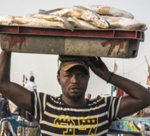 En cette Année de la pêche et de l’aquaculture artisanales, la FAO plaide pour un secteur qui a du mal à se faire entendre