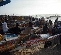 Les acteurs de la pêche s’organisent à Cayar