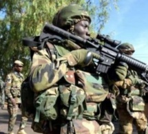 Le Sénégal commande 5000 fusils d'assaut M4A1 des États-Unis