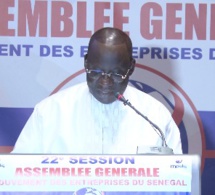 22eme Session: Assemblée Générale du MEDS (Mouvement des entreprises du Senegal)