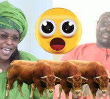 Les sacrifices de Marieme F. Sall 3vaches révèle Cheikh Mamadou L Dramé Borom Beyi