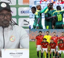 Urgent: La surprenante réponse  de Aliou Cissé coache des lions face aux pharaons«on est pas favoris