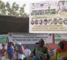 Promotion de l’agro-écologie en Afrique de l’ouest : Djimini ou le refus d’un néocolonialisme par le biais de la semence
