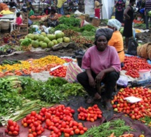 Par-delà le conflit, un plan pour la sécurité alimentaire de l'Afrique