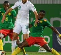 Requête devant la Fifa : L'Algérie veut rejouer son match contre le Cameroun