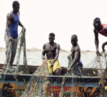 Le poisson presque introuvable : Les pêcheurs inquiets