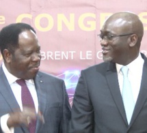 Cérémonie de lancement des activités du 20eme congrès de l'Association des Sociétés d'Electricité d'Afrique