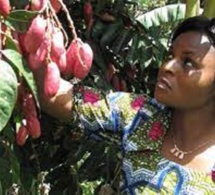 Un ménage, un arbre fruitier : Le challenge ambitieux du projet Tiers Sud Beydare