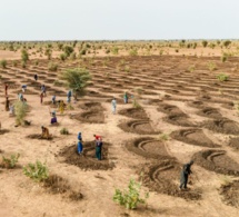 Conférence contre la désertification à Abidjan : la dégradation des terres n’est pas une fatalité, selon l’ONU