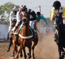 Course Hippique/ Grand Prix Lonase Ce Dimanche 15 Mai