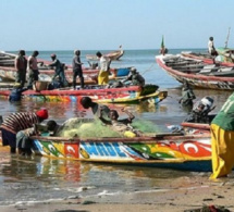 Journée mondiale des Océans : Le chapelet de doléances des pêcheurs artisanaux de Joal