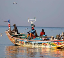 Journée des Océans : Les pêcheurs s’attaquent aux entreprises de farine de poisson