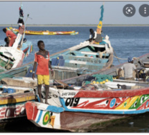 Fatick: L’Etat invité à doter le débarcadère de Djiffer d’un quai de pêche aux normes