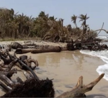 Commune de Diembéring : L’avancée de la mer menace l’écosystème de Nikine