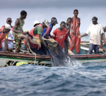 Raréfaction des ressources halieutiques: La pêche vit "une crise pernicieuse"