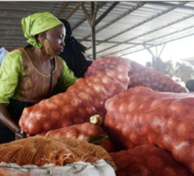 Le sac d'oignon vendu à 50 000 F Cfa à Touba