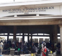 Marché central au poisson de Kaolack Les mareyeurs observent 72 heures de grève à partir de ce mercredi