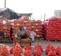 Inflation: Pourquoi le sac d'oignon doit coûter 300.000 F CFA et ce que devraient faire les cultivateurs, selon ce Sénégalais