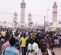 Magal de Touba : le dispositif de lutte contre l’abattage clandestin sera renforcé