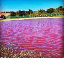 Niague / Trop-plein d’eau au Lac Rose : Hôtels et boutiques d’art impactés par le débordement