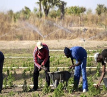 Spectre d’une saison agricole catastrophique ; Les paysans inquiets