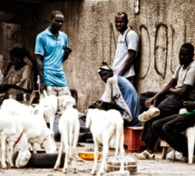 Emploi du temps/ ANSD: « Les Sénégalais passent 17 heures de temps sans activité »