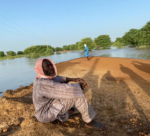 Podor : La crue du fleuve isole plusieurs villages de l’île à Morfil