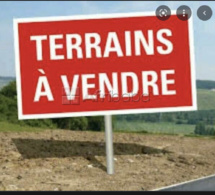 URGENT: Lot de parcelles de 500m2 à vendre sur la rte de Darou Mousty contact 77 614 34 17