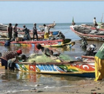 Mévente des produits halieutiques : Les pêcheurs de Mbour tirent sur le service des pêches