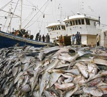 Rareté du poisson, surpêche, manque de financement, absence de chambres froides : Les pêcheurs de Yoff exposent les difficultés du secteur…