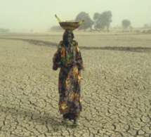 Kaolack - Lutte contre la sécheresse dans le Sahel, Guinguinéo, Gossas et Mbirkilane choisies comme zones pilotes