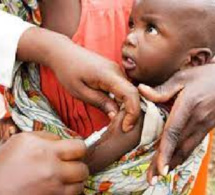 Malnutrition : Plus de 109.000 enfants dépistés trimestriellement à Kolda